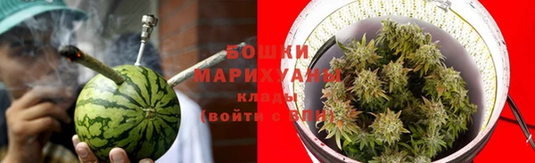 дмт Магас