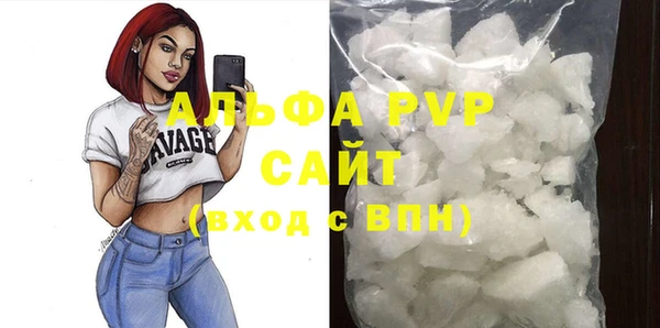 прущие грибы Медвежьегорск