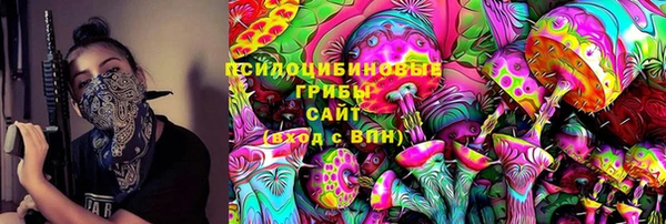 дмт Магас