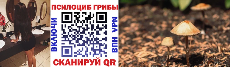 Галлюциногенные грибы мицелий  Купить где  Миллерово 